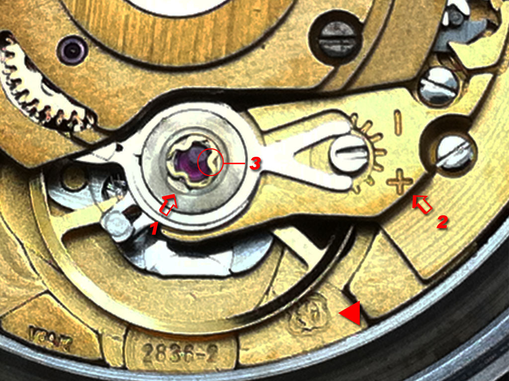 swiss eta 2836 movement